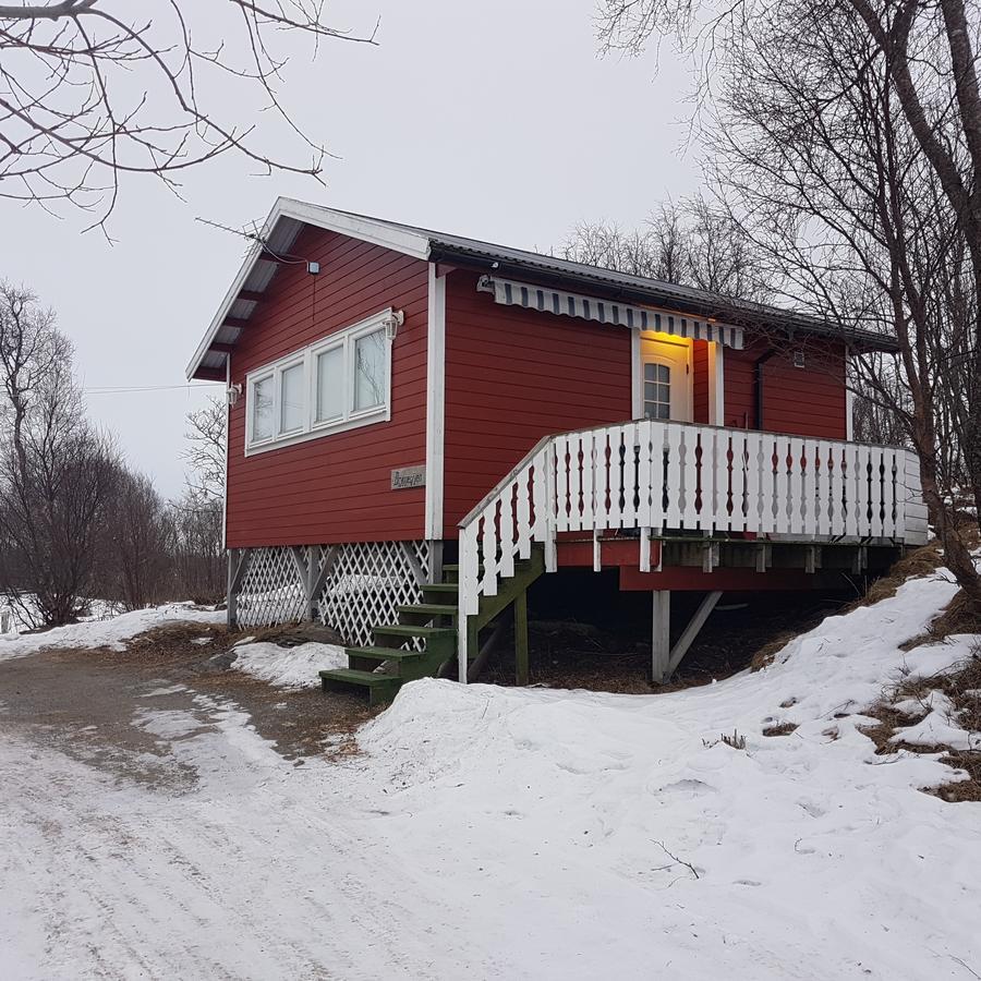 Camp Saltstraumen-Elvegard Hotel Bodø Exterior foto