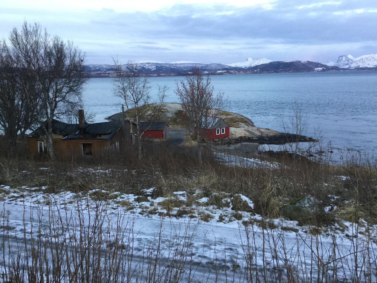 Camp Saltstraumen-Elvegard Hotel Bodø Exterior foto