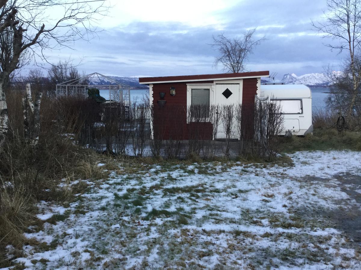 Camp Saltstraumen-Elvegard Hotel Bodø Exterior foto