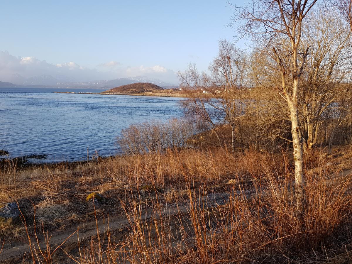 Camp Saltstraumen-Elvegard Hotel Bodø Exterior foto