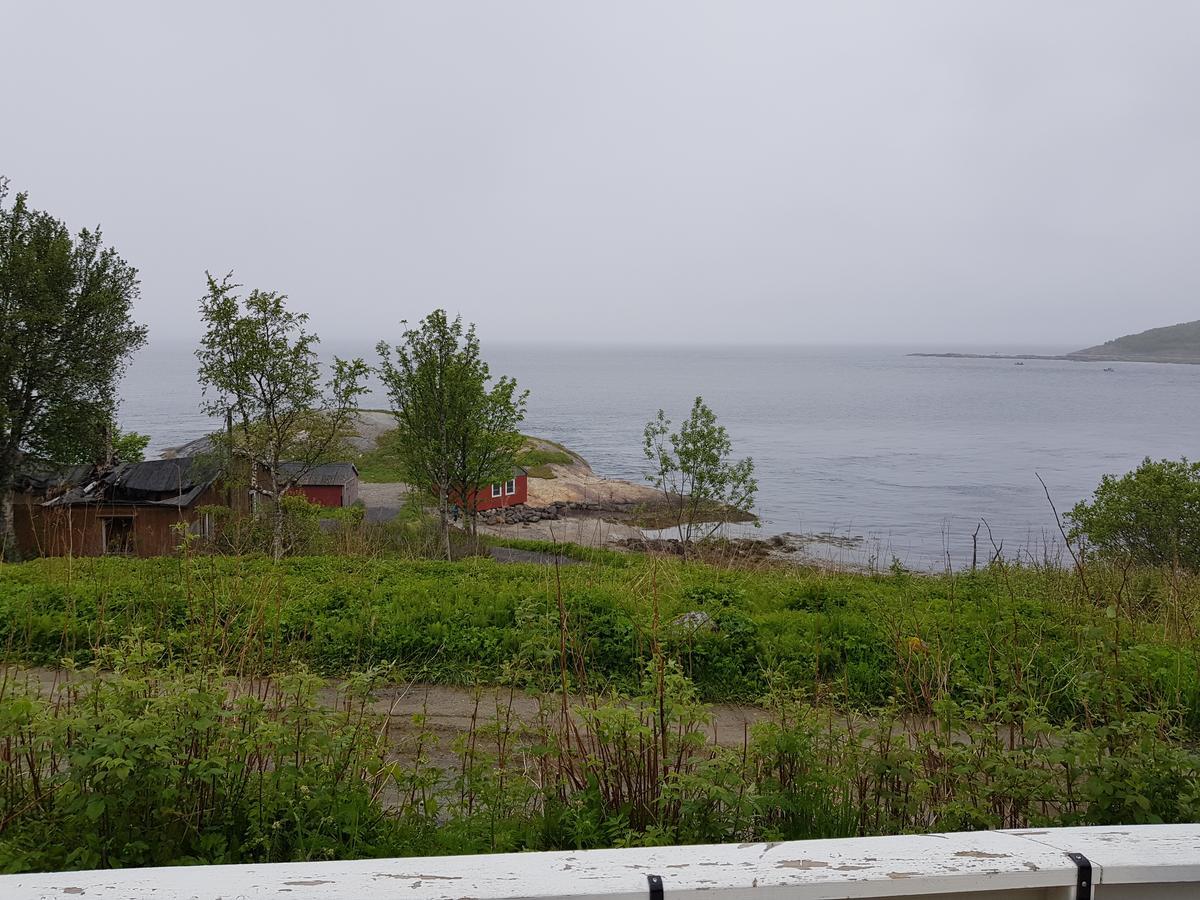 Camp Saltstraumen-Elvegard Hotel Bodø Exterior foto
